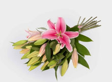 Load image into Gallery viewer, Radiant ORIENTAL LILLYS