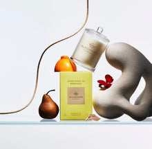 Load image into Gallery viewer, POTTED BLOOM Flower Subscription