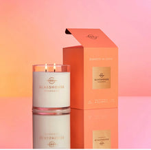 Load image into Gallery viewer, POTTED BLOOM Flower Subscription