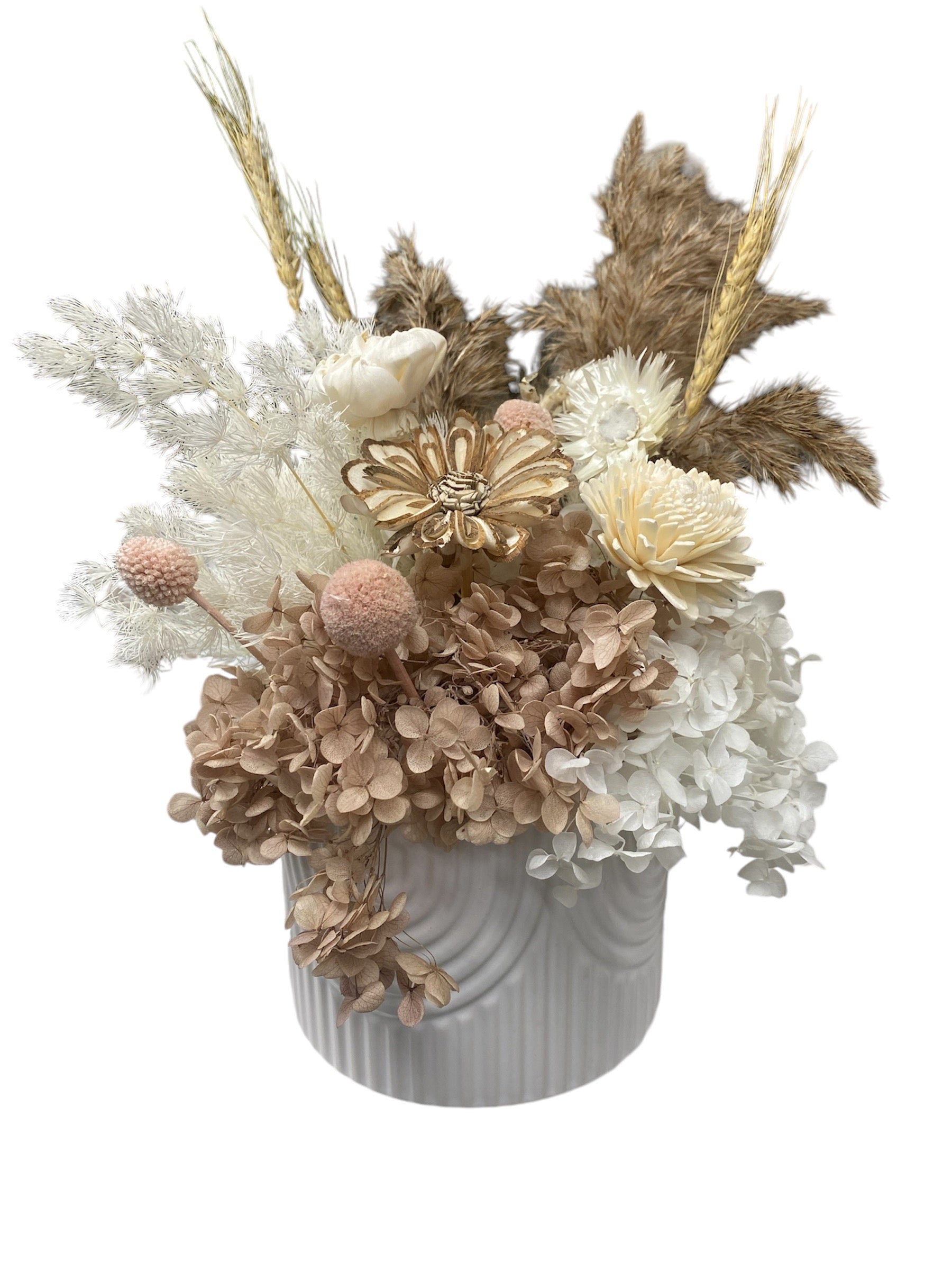 HYDRANGEA DRIED