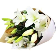 Radiant ORIENTAL LILLYS
