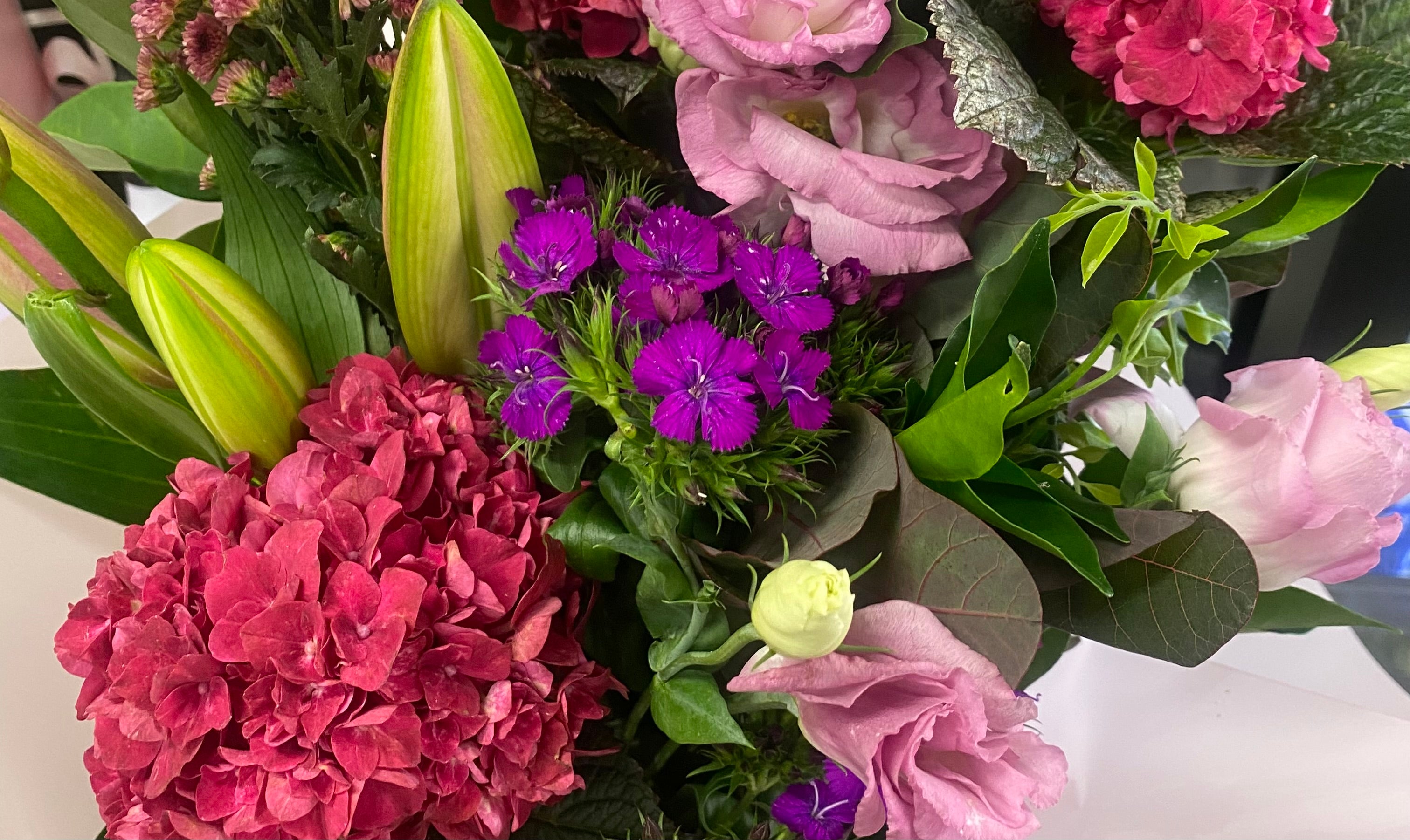 Florist Choice