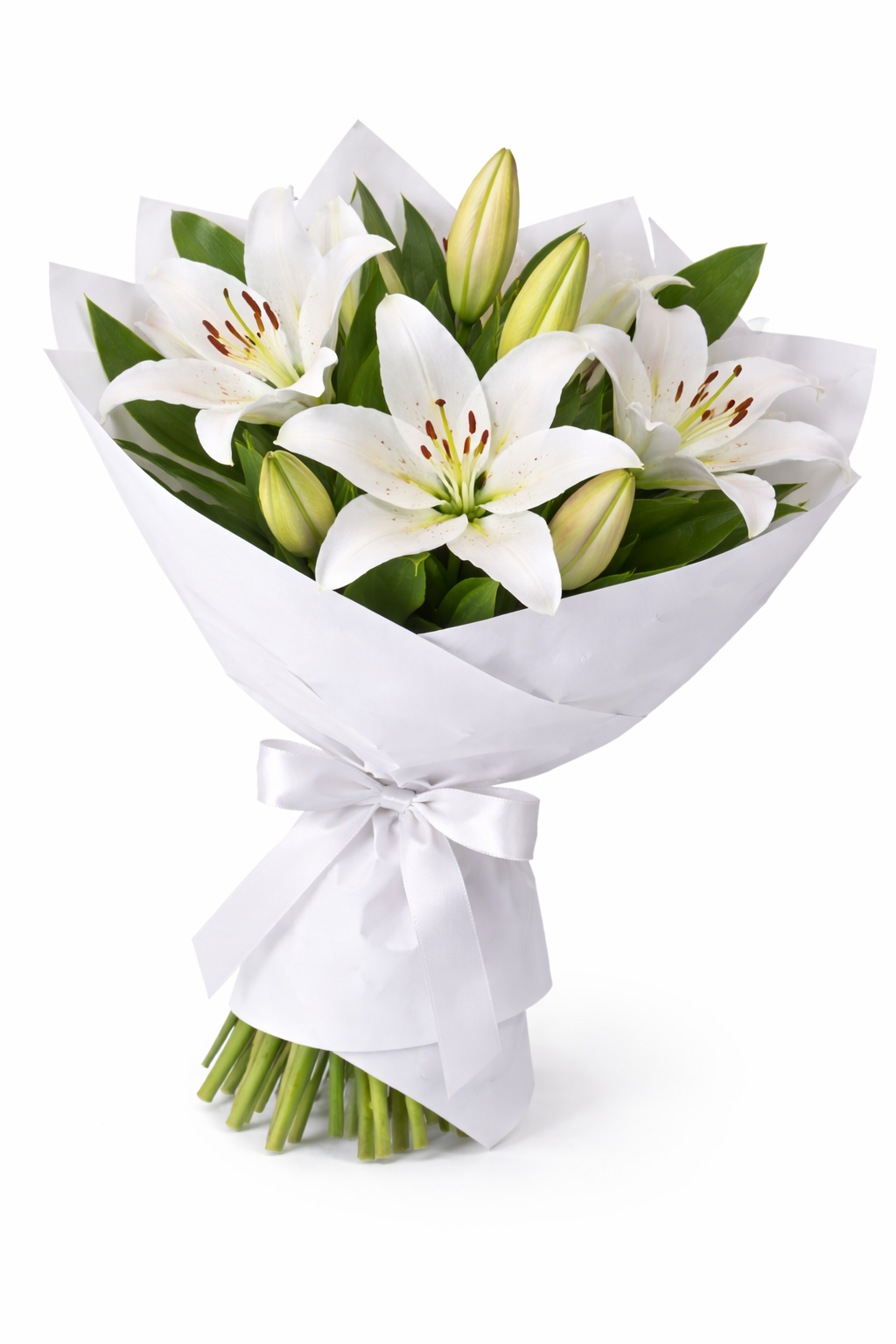 Radiant ORIENTAL LILLYS