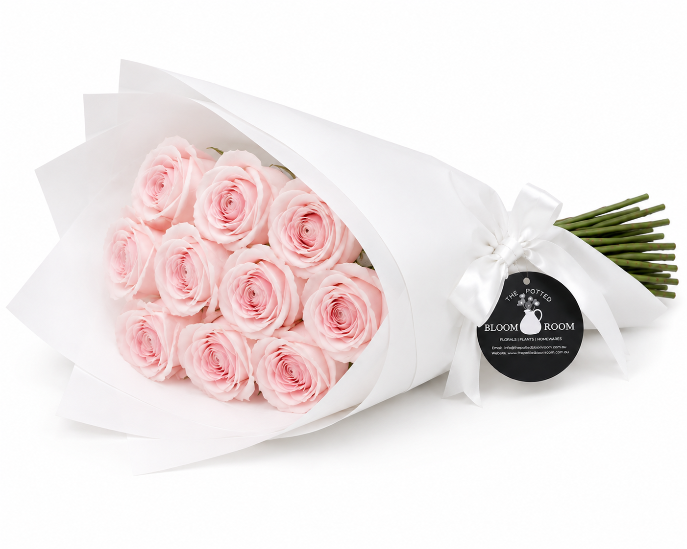 Wrapped Lonely  Roses