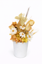 Load image into Gallery viewer, Daisy Dried
