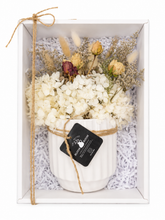 Load image into Gallery viewer, Shipping Australia Wide-Mini Drieds
