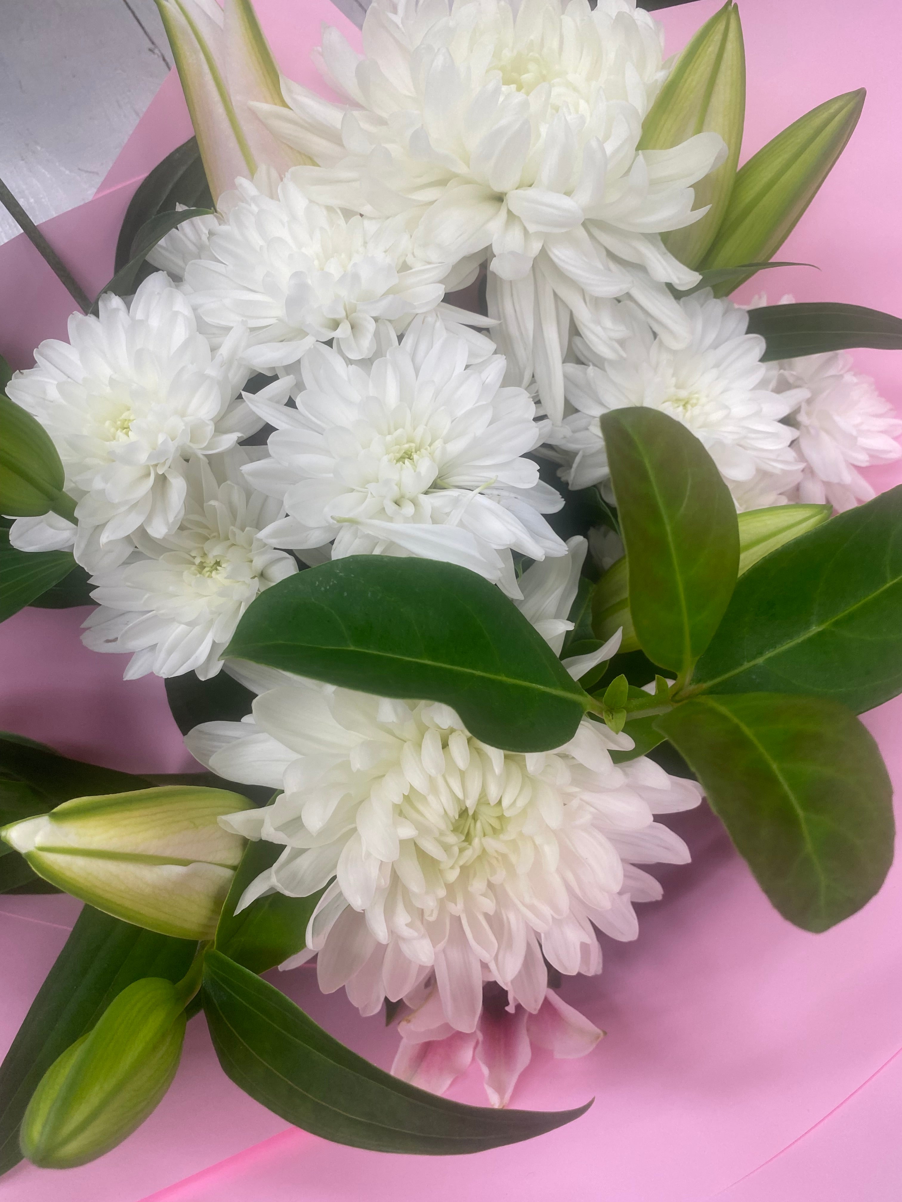 Potted Bloom CLASSIC WHITES & GREENS