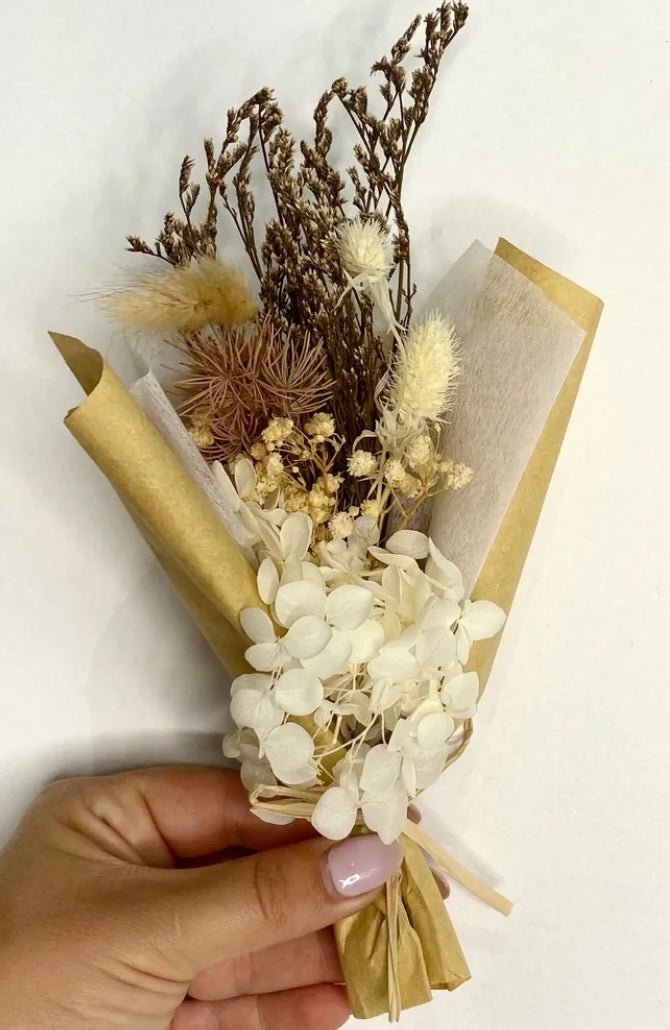 POTTED BLOOM- Circa Hamper