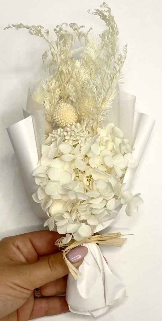 POTTED BLOOM- Circa Hamper
