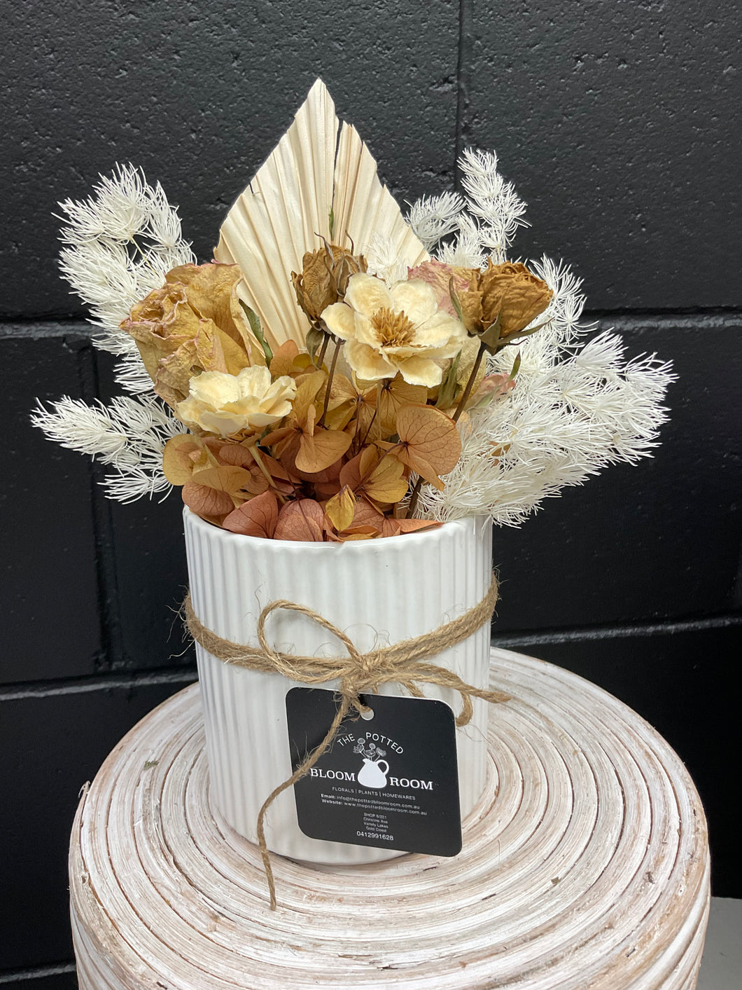 PETITE DRIED CERAMIC