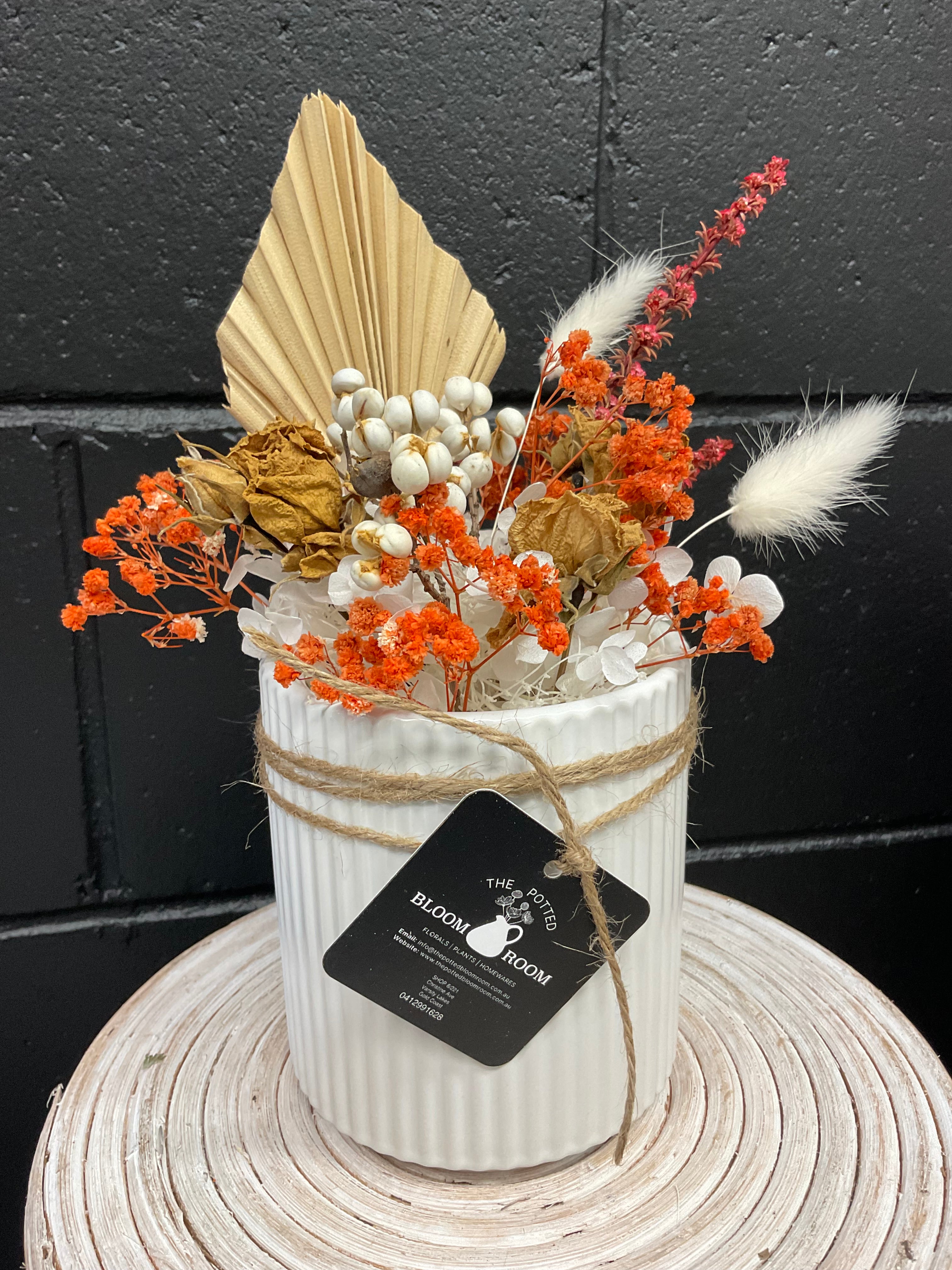 PETITE DRIED CERAMIC