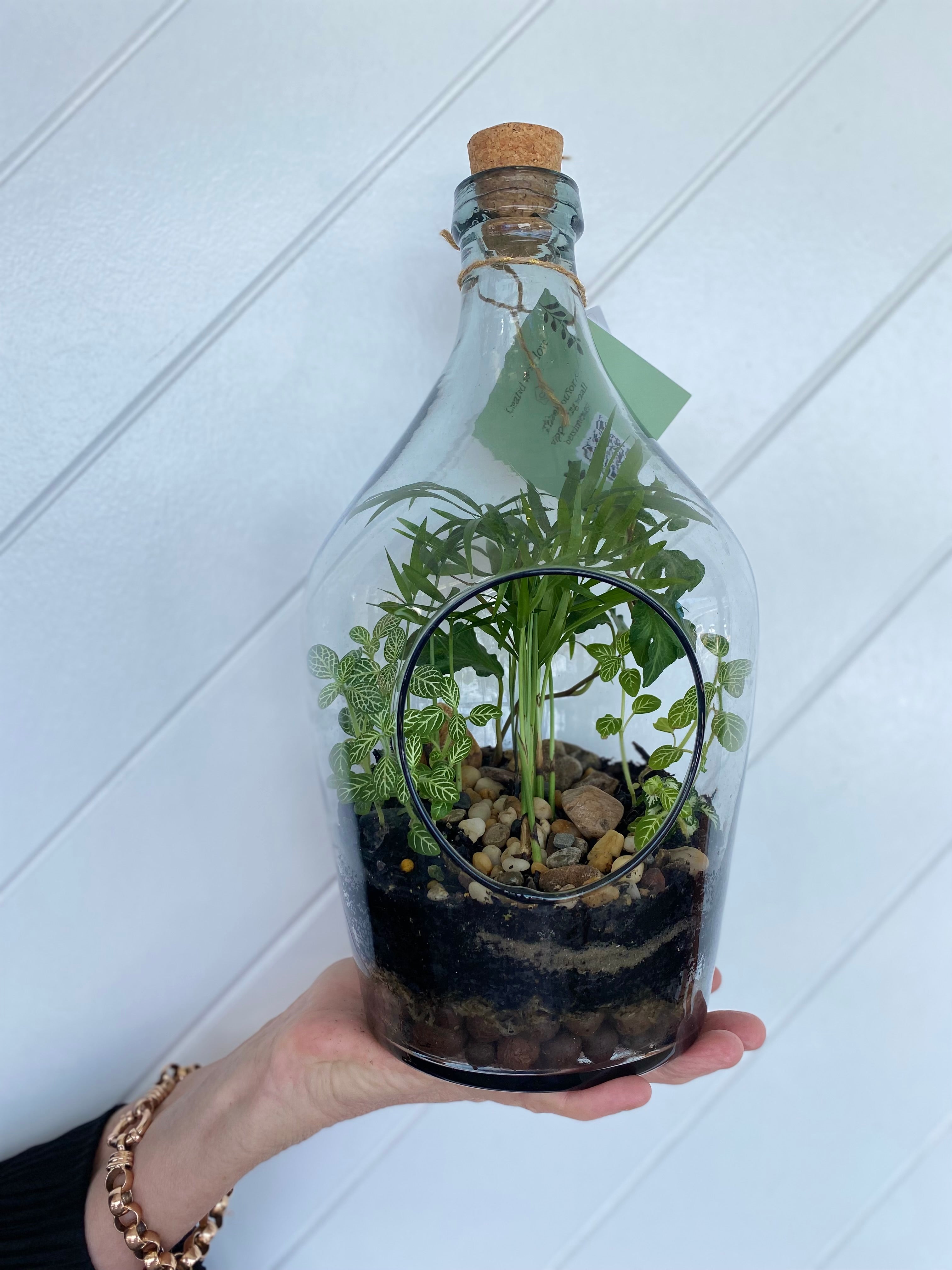 BOTANICAL BLISS TERRARIUM