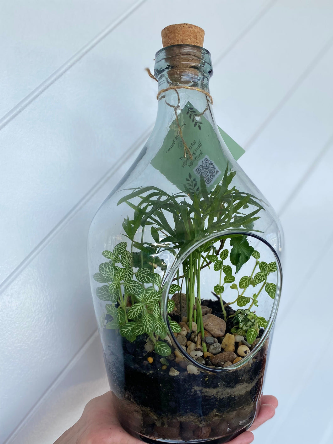 BOTANICAL BLISS TERRARIUM