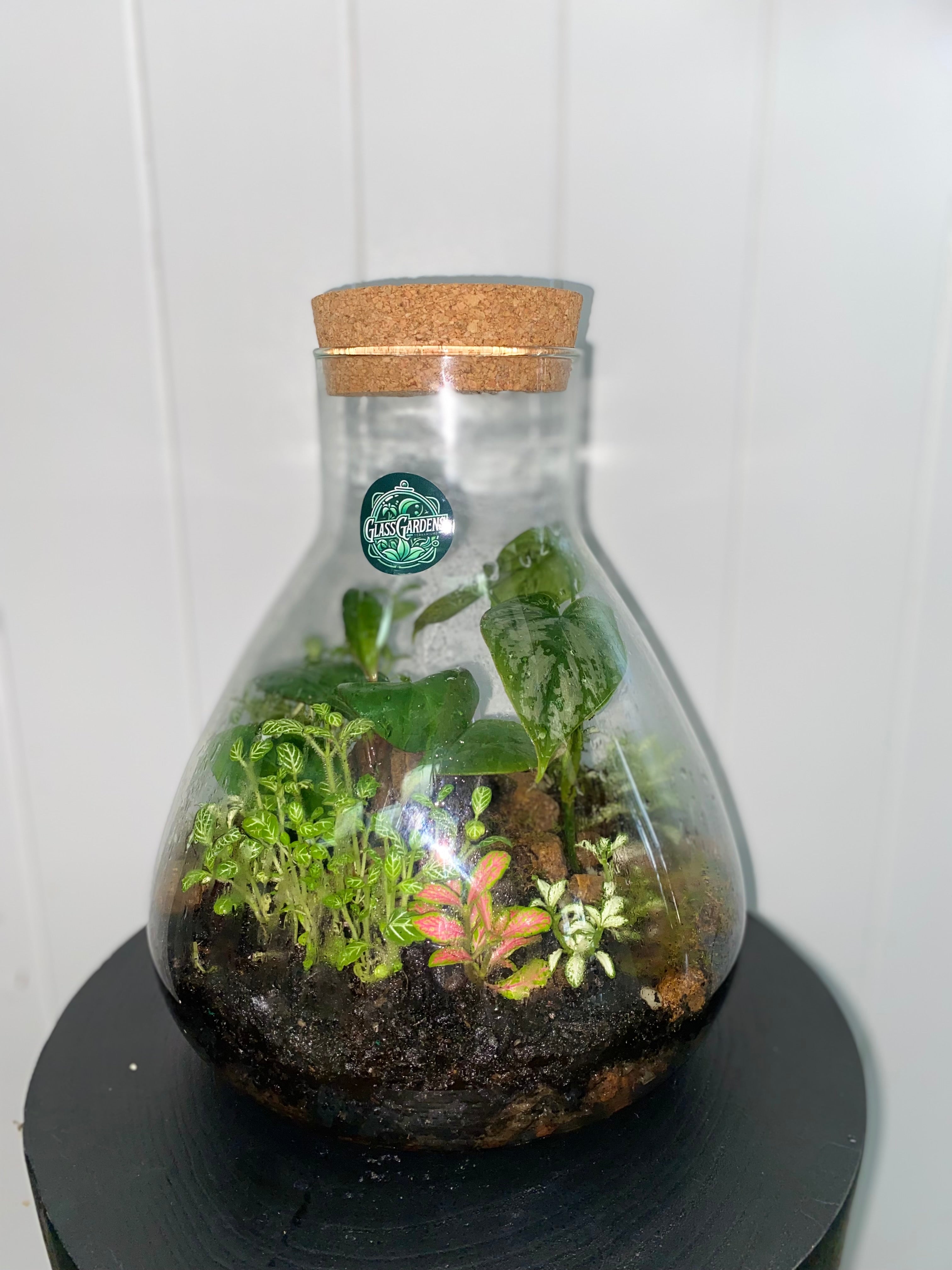 GREEN GROVE TERRARIUM