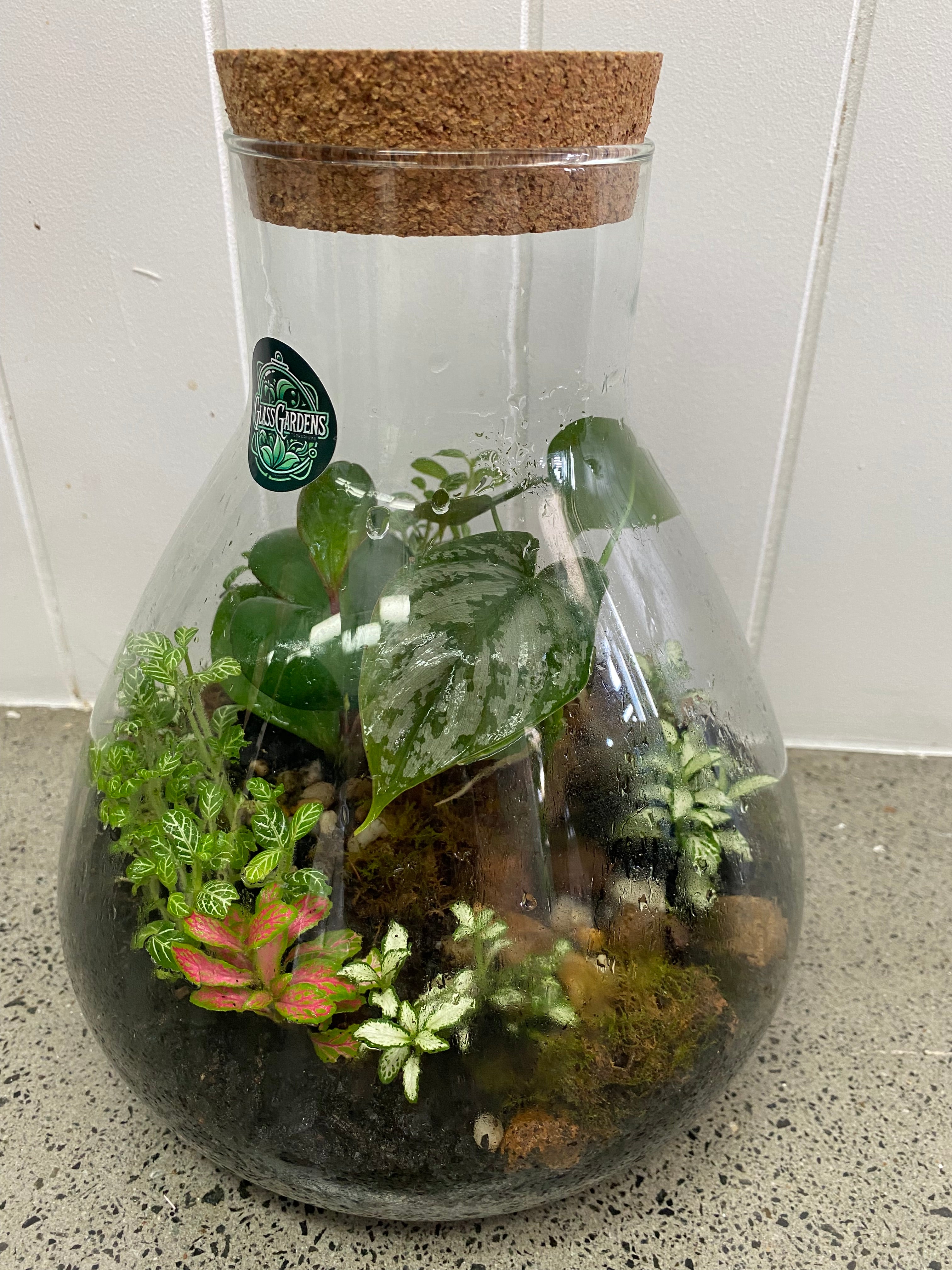 GREEN GROVE TERRARIUM