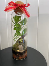 Load image into Gallery viewer, CRYSTAL TERRINE  TERRARIUM
