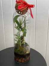 Load image into Gallery viewer, CRYSTAL TERRINE  TERRARIUM
