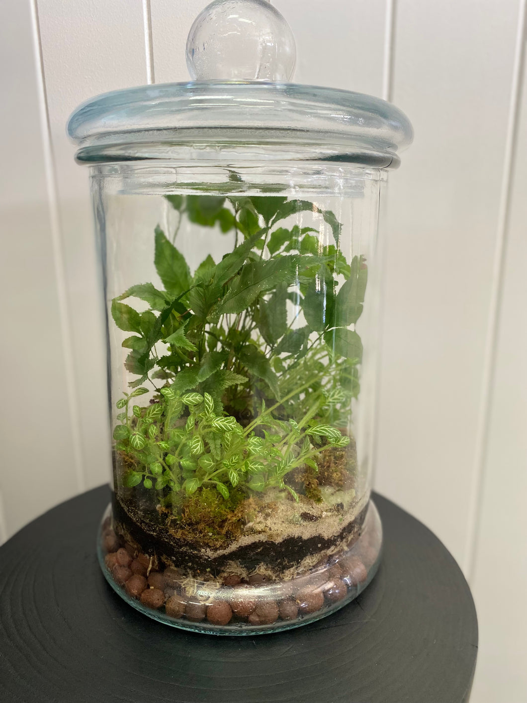 GREEN REFLECTION TERRARIUM