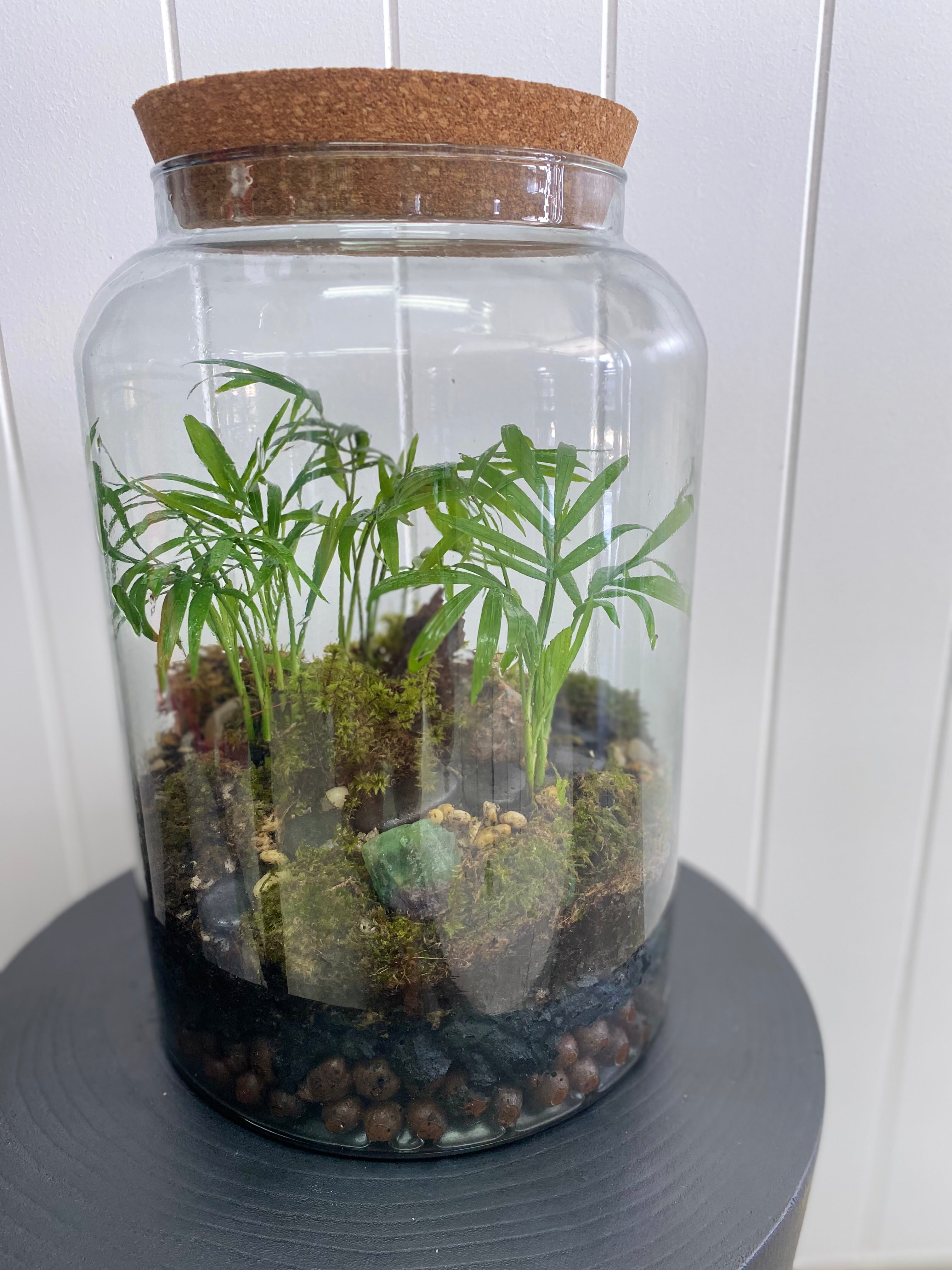 MOSSARIUM TERRARIUM