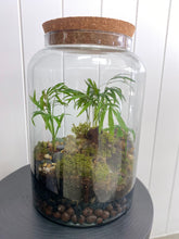 Load image into Gallery viewer, MOSSARIUM TERRARIUM
