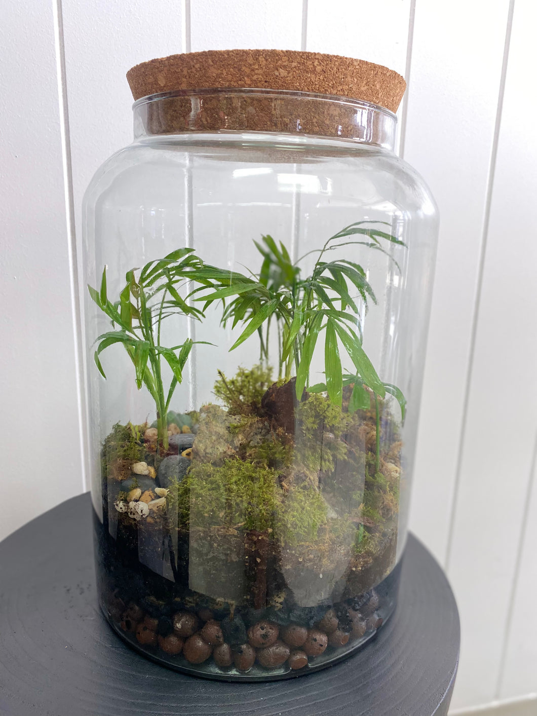 MOSSARIUM TERRARIUM